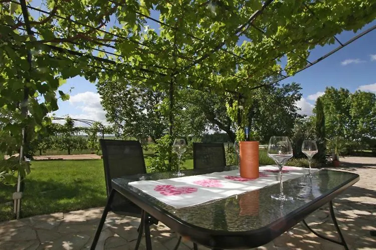 Au Mas Du Soleil Bed & Breakfast Senouillac